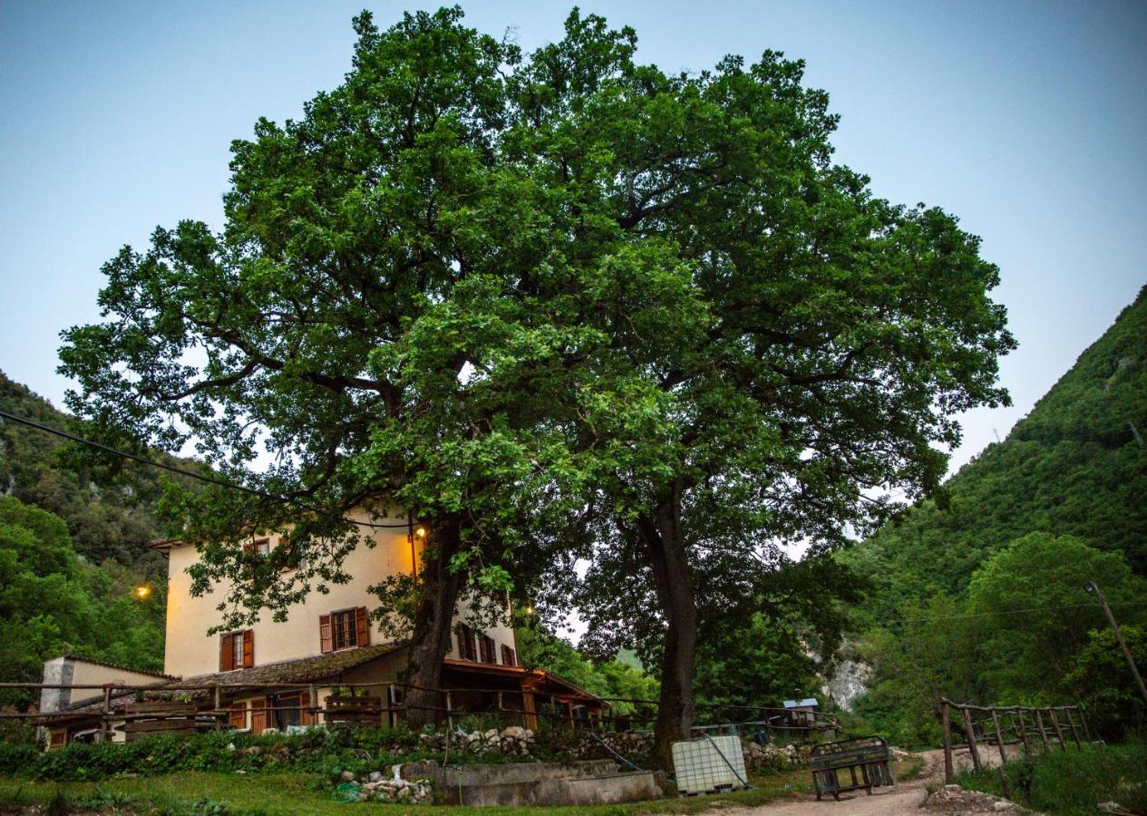 Agriturismo Le Due Querce Cerreto di Spoleto Exterior photo